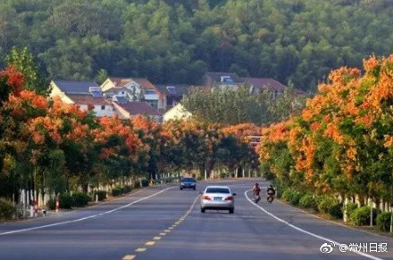 常州溧阳1号公路旅游风景道