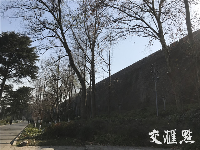 平台建设后，不仅会对城墙本体进行监控，其周边50米范围圈的各项生态指标都将被纳入监控范围。
