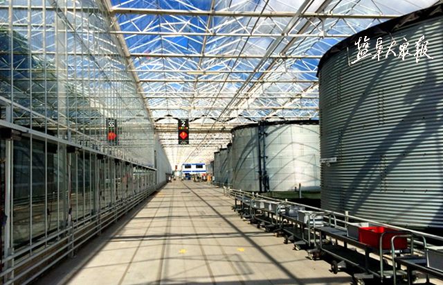 全球最高水平的现代设施农业项目——单体5万平米的现代智能玻璃温室项目。