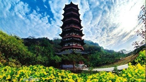 图片来源于网络。