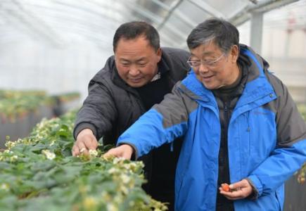 资料图片