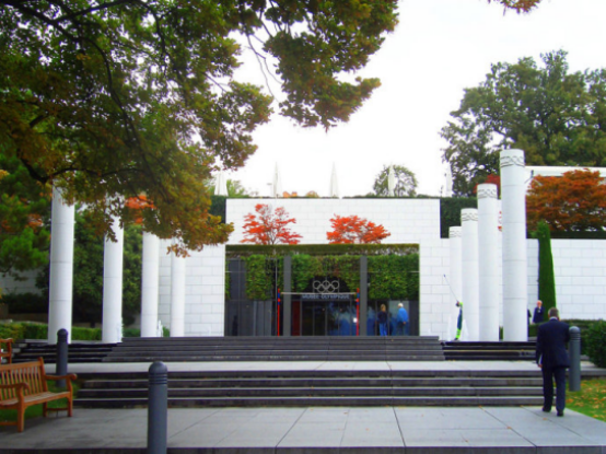 7级飓风吹不垮的是一种精神,废墟上涅盘重生的