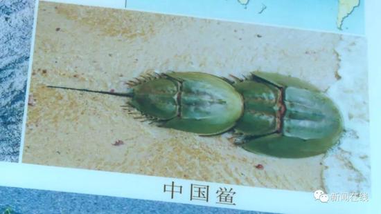 1家4口喝汤中毒2人不幸身亡 只因汤里加了这种