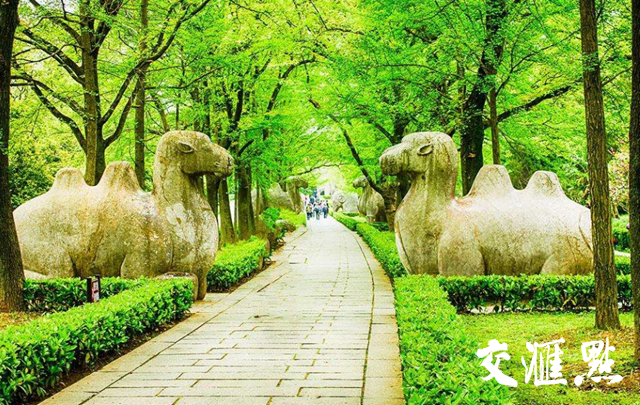 江苏省旅游局供图