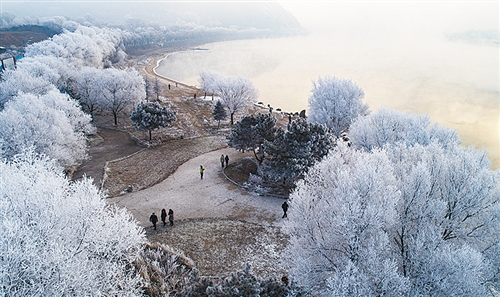 12月11日，吉林市松花江畔出现美丽的雾凇景观，沿江树木披上“银装”。