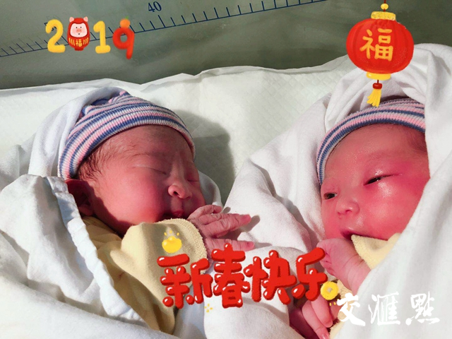 狗年最后一名“狗宝宝”（左）和猪年第一名“猪宝宝”（右）。