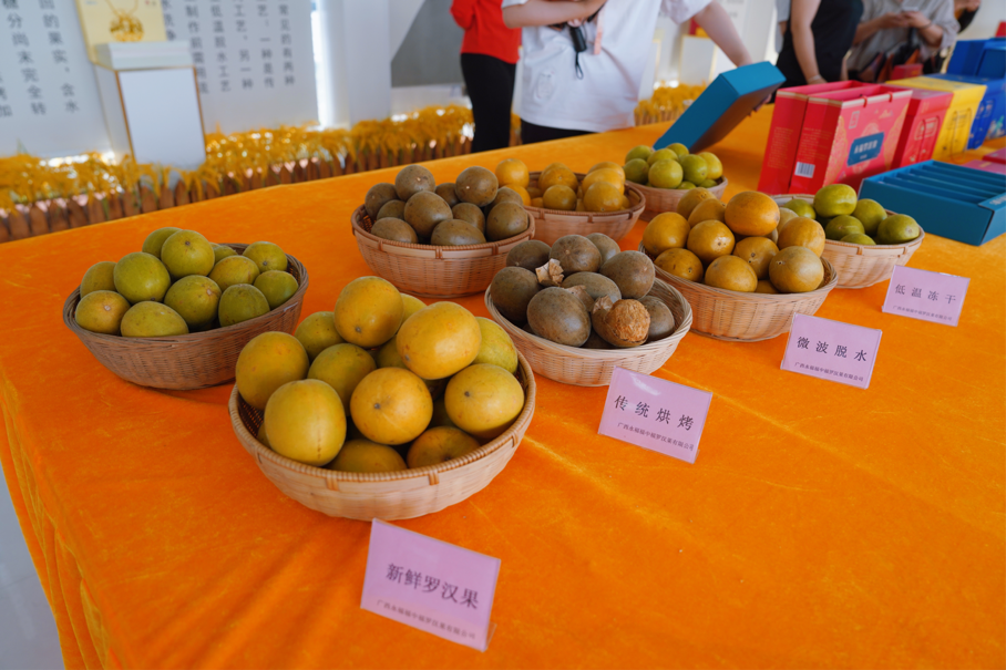 果实长得好,关键看种苗。2022年起,示范园先后与中国科学院、广西农业科学院等多所院校合作,开展品种杂交选育攻关,培育优良品种、保障种子安全,同时重点建设种苗脱毒实验室和脱毒苗繁育基地,加强种苗脱毒技术攻关,繁育健康安全种苗。
此外,示范园积极展开罗汉果从山区种植转移到平原地种植技术攻关,促进罗汉果产量由一般种植条件下的亩产6000个增加到10000个以上,产能大幅提高,有效应对、满足了全国乃至全球市场需求。图为根据不同加工方式制成的丰富罗汉果产品。
新华日报•交汇点记者 宗祺 广西日报-广西云客户端记者 甘艳霞/文 杨思悦/摄