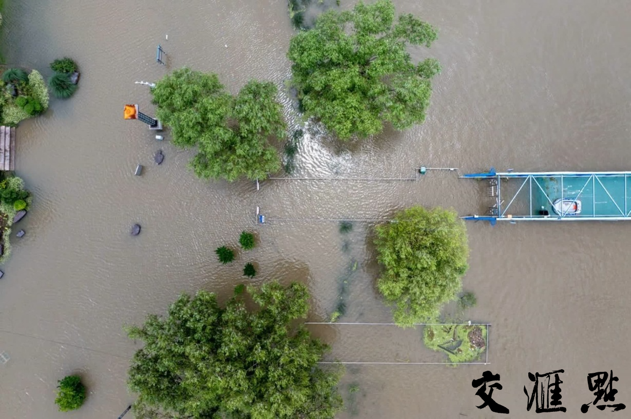 受上游来水及本地降雨影响,7月3日8时,长江南京站水位9.71米,超警戒1.01米。9时起,南京市启动防汛Ⅱ级应急响应(橙色)。新华日报·交汇点记者 蒋文超 摄