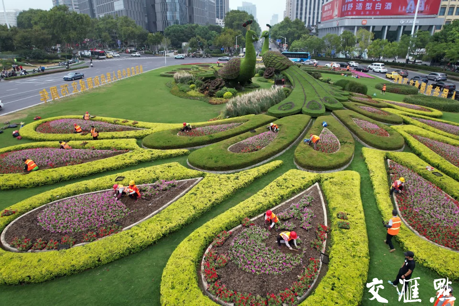 整个鼓楼广场洋溢着浓烈的喜庆氛围!新华日报·交汇点记者 宋宁 摄