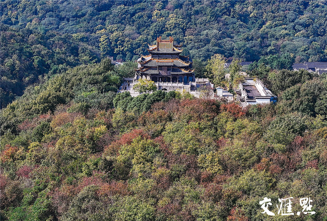 11月3日,句容宝华山国家森林公园秋色渐浓,满山遍野的彩叶换上了五彩斑斓的色彩,层林尽染,不少游客前来一睹“彩林”美景。新华日报·交汇点记者 邵丹摄