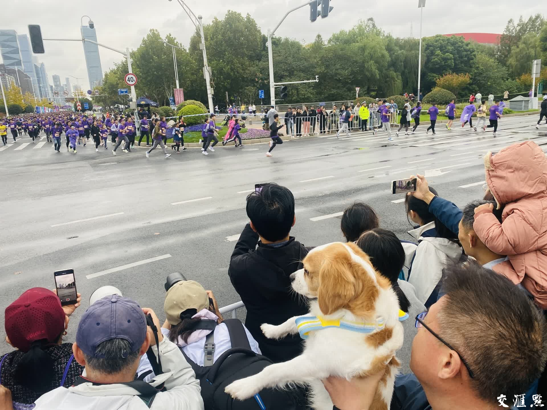 11月17日,2024南京马拉松暨大运河马拉松系列赛(南京站)在南京奥体中心鸣枪起跑。本届南京马拉松分“马拉松”和“迷你健康跑”两个项目,来自全球各地的30000名跑友在山水相依、城林交融的古都金陵,尽情挥洒汗水,体验奔跑的激情,感受南京的独特魅力。
新华日报·交汇点记者 万程鹏 蒋文超 余萍 摄