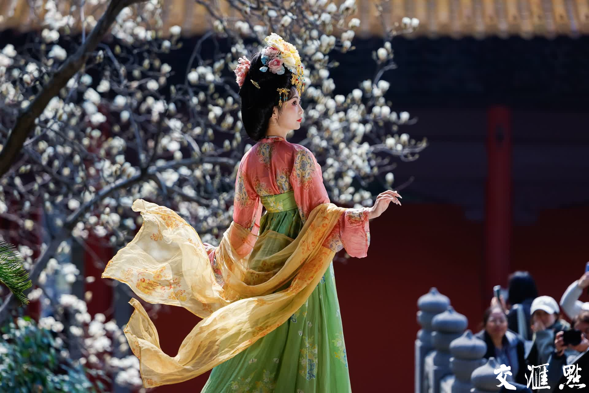 3月6日,南京朝天宫内的玉兰花迎来盛放期,吸引众多市民和游客在暗香浮动中感受春意盎然。新华日报•交汇点记者 蒋文超 摄