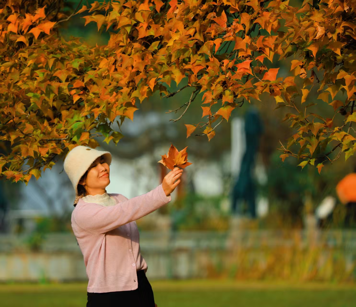 11月4日，被譽為“最美600米”的南京明孝陵石象路披上秋日盛裝，烏桕、銀杏和楓香，呈現黃、橙、紅色調交織，歷史的厚重與秋日的絢爛相映成趣，吸引游客駐足。
通訊員 徐福庚  新華日報?交匯點記者 聶偉