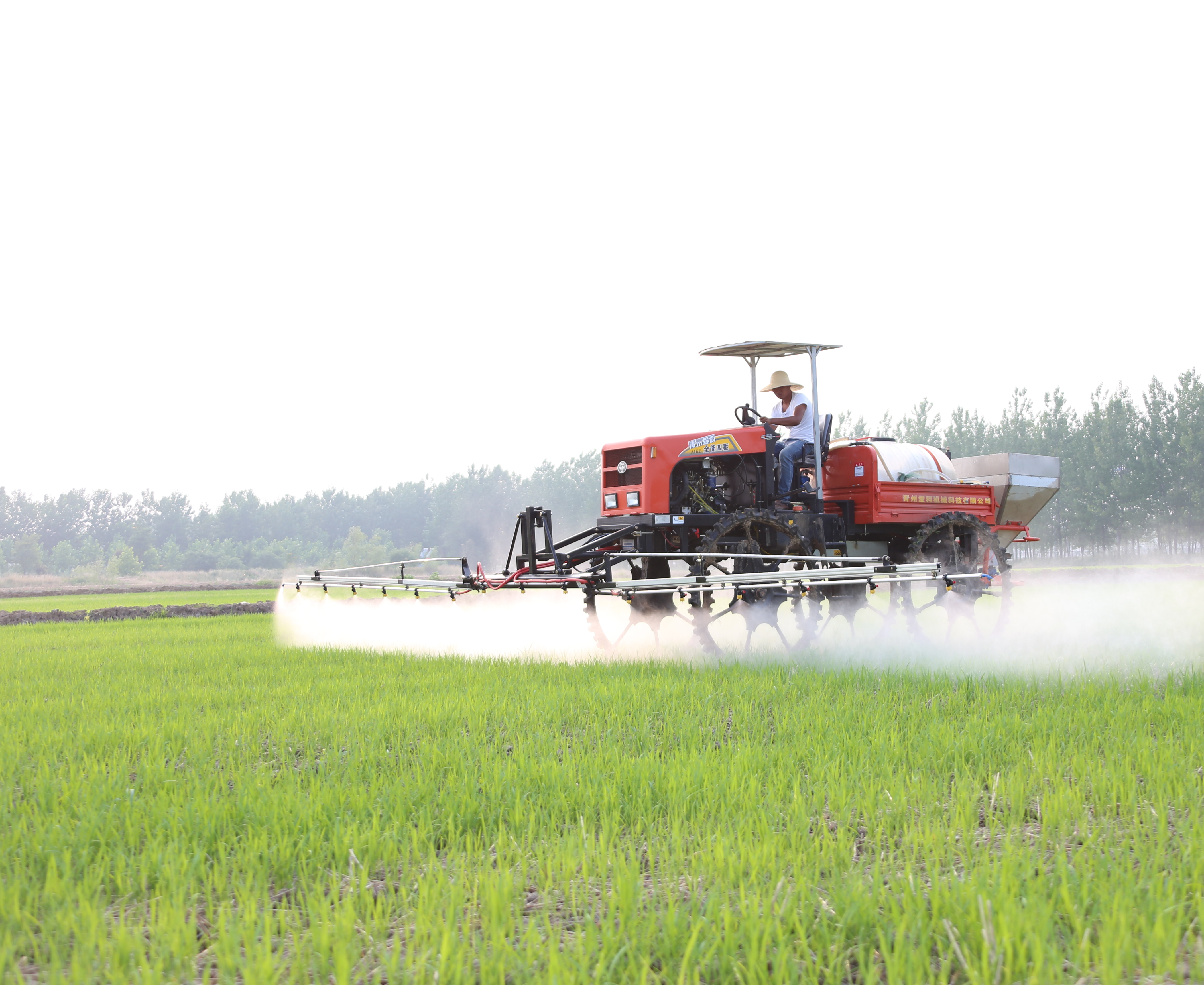 泗洪稻米文化节,农耕文明现代大发展的文化盛宴