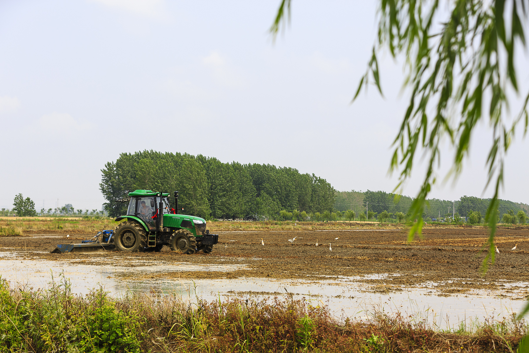 泗洪稻米文化节,农耕文明现代大发展的文化盛宴