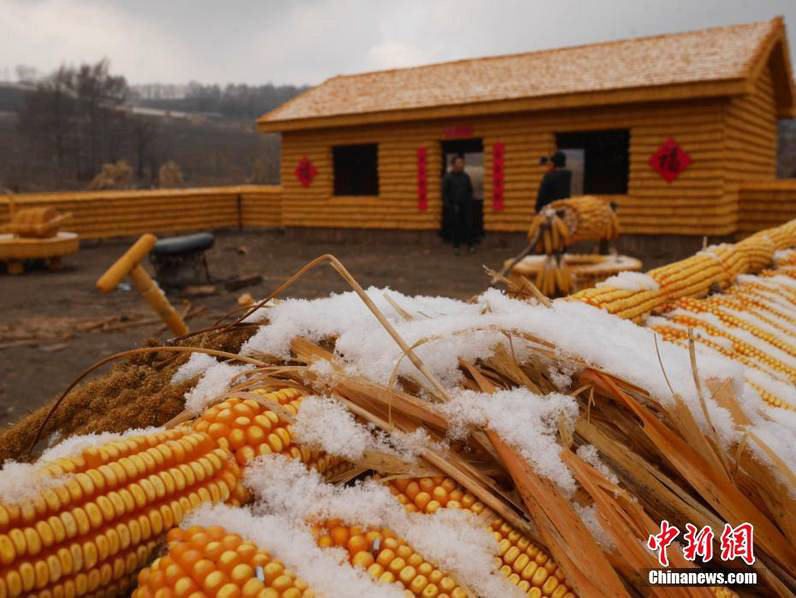 吉林农民用2万根玉米造出"黄金屋院"