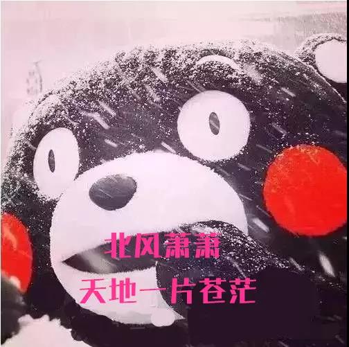 降温!大风!江苏省气象台专家揭秘本轮寒潮四大真相