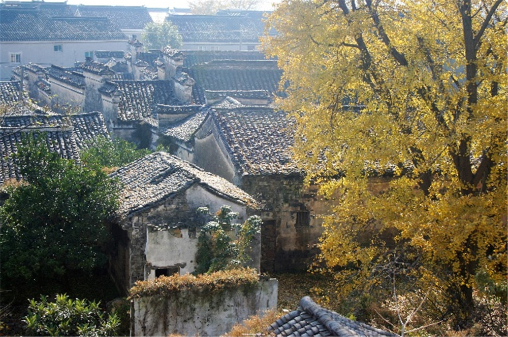 东蔡村:乡民乡愁守护村庄的根与魂_我苏网