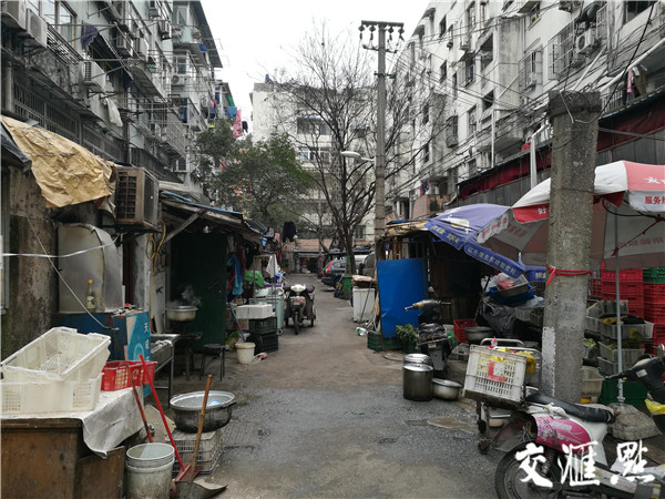 【新春走基层】老旧小区大变样,街道化零为整"巧"解整治难题