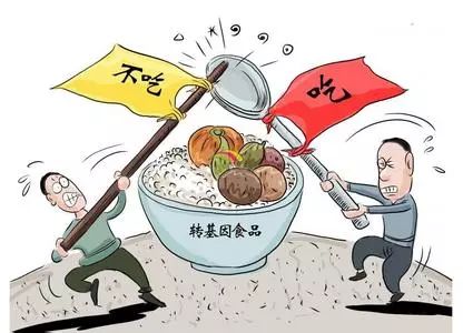 "转基因致老鼠减少,母猪流产","转基因食品影响子孙后代","圣女果