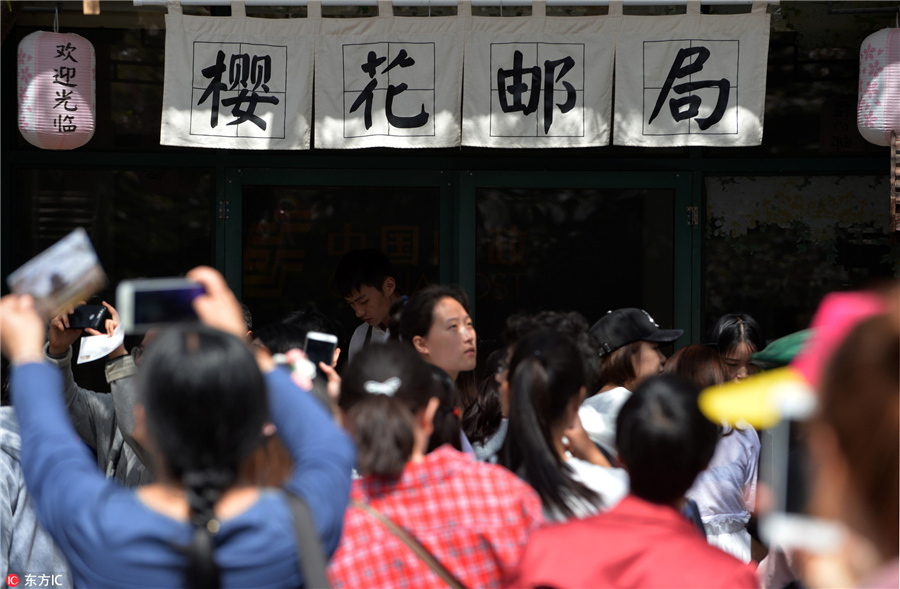 无锡鼋头渚樱花邮局成"网红"