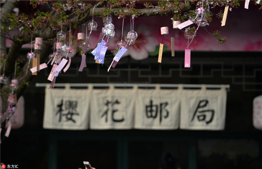 无锡鼋头渚樱花邮局成"网红"