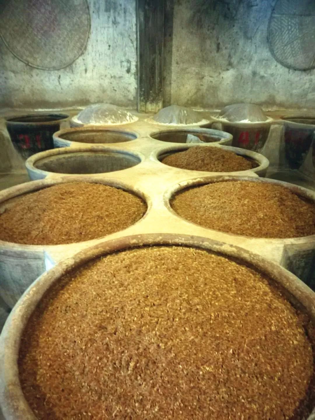 这家醋厂的工人没有一人患癌症!听酿醋工人怎么说