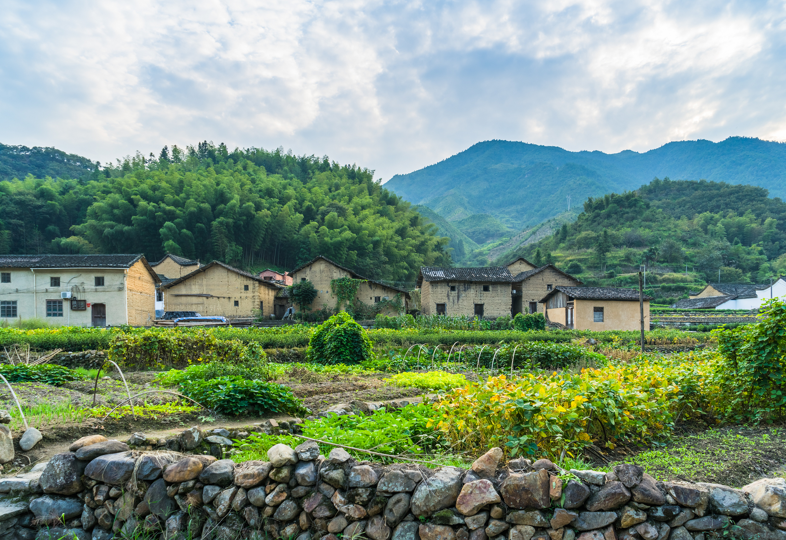 今后,江苏农村"村务监督委员会"制度将全覆盖