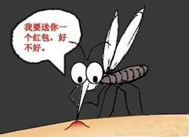 一方水土养育一方蚊！全国蚊子出没地图请惠存_新华报业网