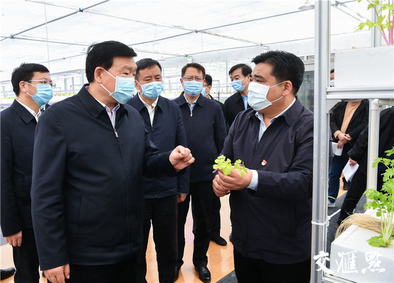 省委书记娄勤俭考察响水九丰现代农业园。 省委书记娄勤俭考察响水九丰现代农业园。