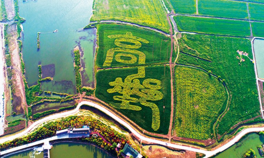 扬州高邮农路旅游线