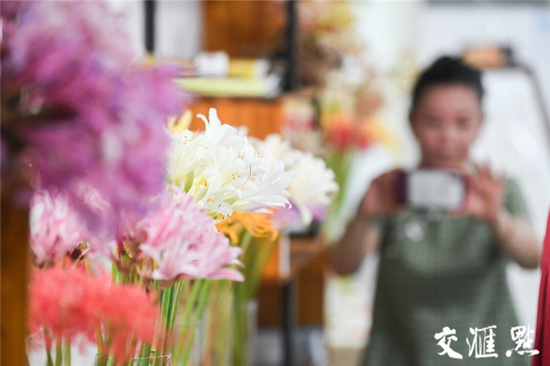 新华日报 交汇点 南京中山植物园举办首届石蒜花展 最稀奇的品种全在这里