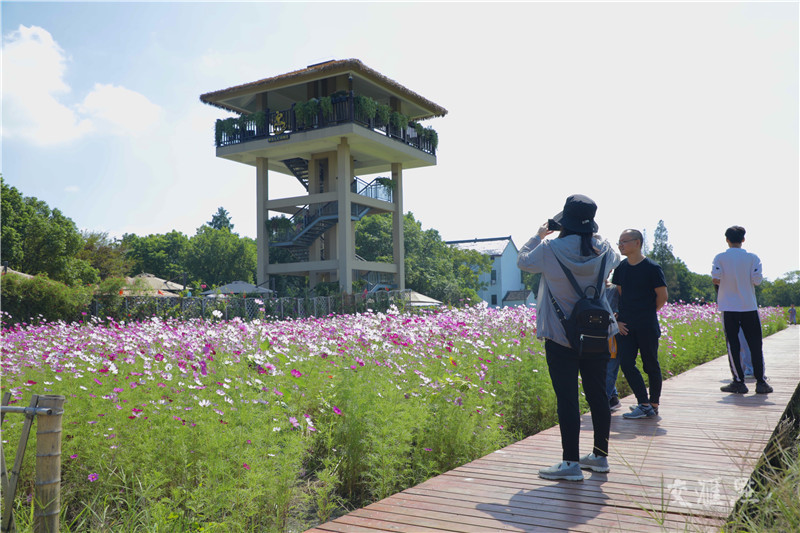 家国同庆 小康画卷 美丽乡村