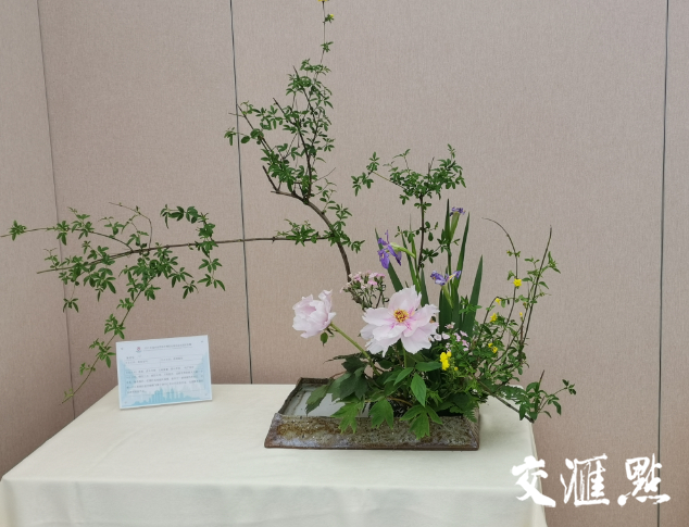 她眼里春天的样子 拿下世园会插花花艺国际竞赛金奖