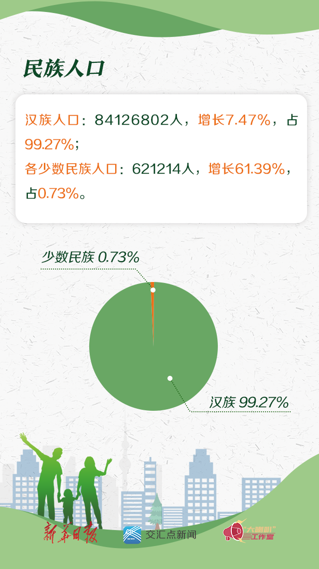 人口普查年龄构成_人口普查年龄结构图(3)