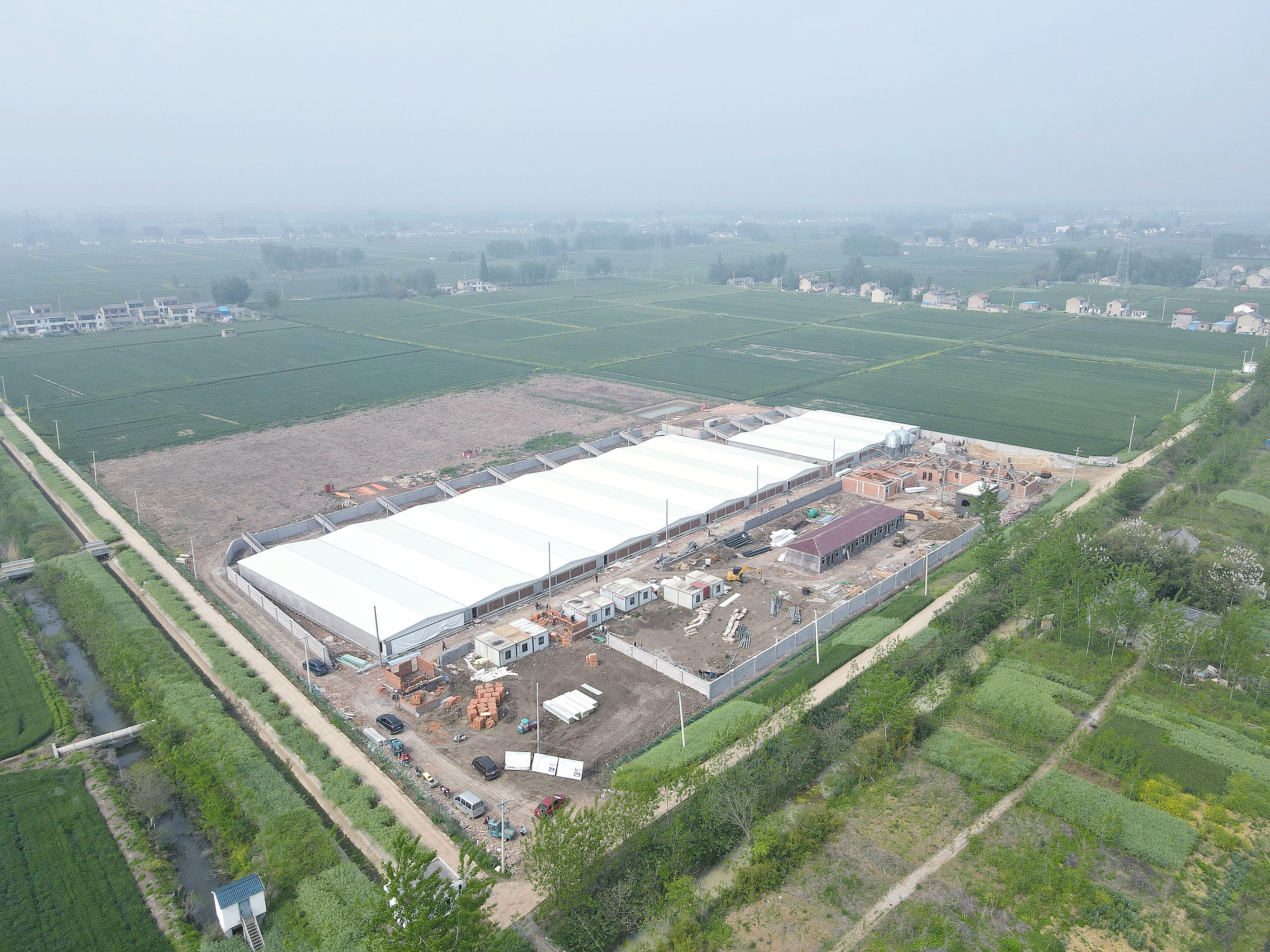 图为位于淮安区平桥镇十洞村的高标准现代猪场.王建朋/摄