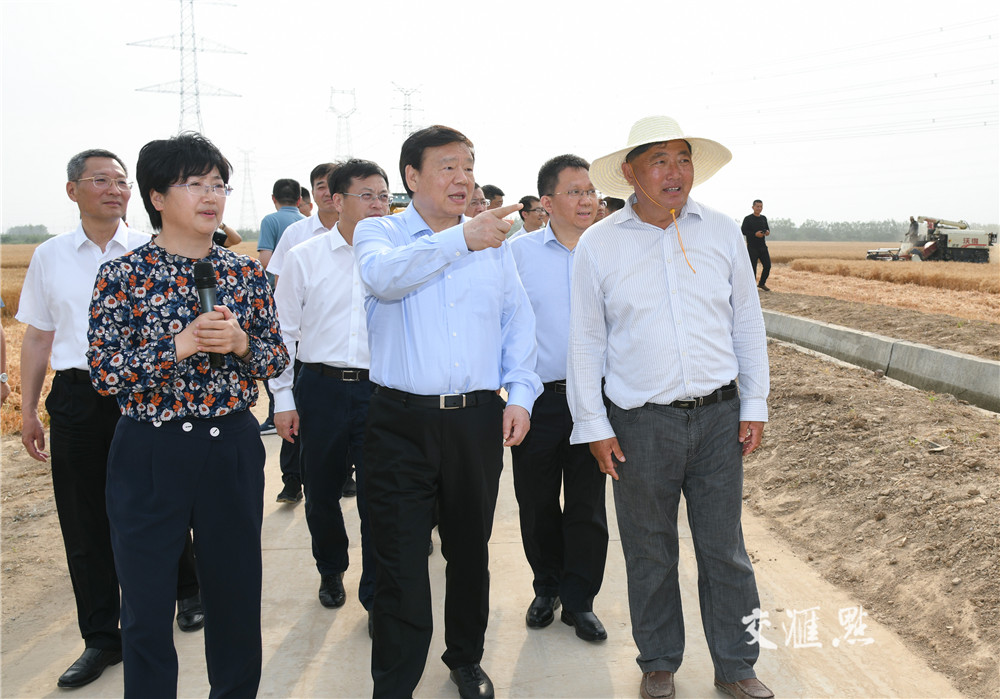 娄勤俭在盐城市射阳县粮食生产基地察看夏收现场。肖勇 摄