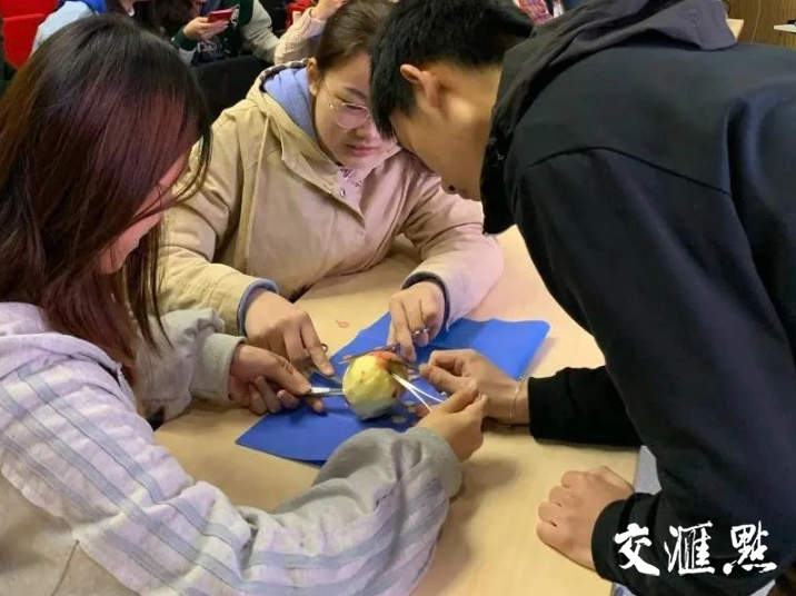 用手术器械给苹果削皮