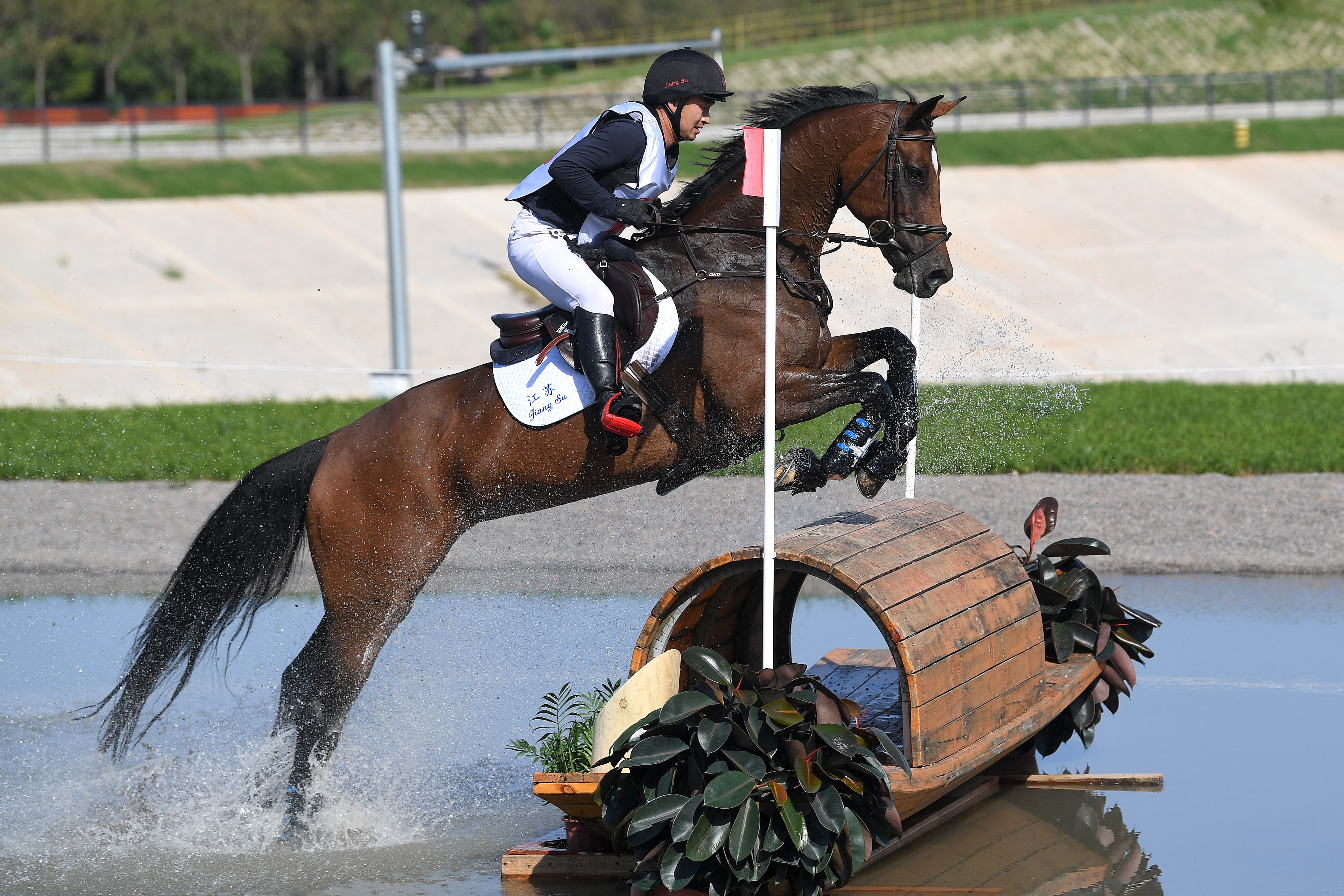 包英凤在马术三项赛中 万程鹏/摄