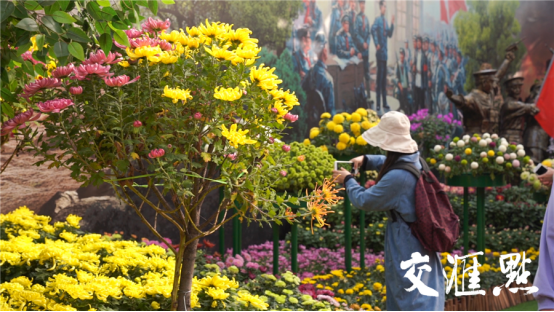 白马湖生态旅游区今年举办的菊花展吸引了大量游客前来打卡