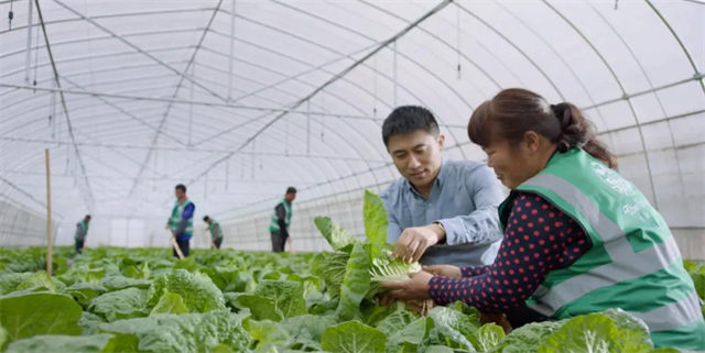 蔬菜分揀員蔡炳鳳在工作崗位上