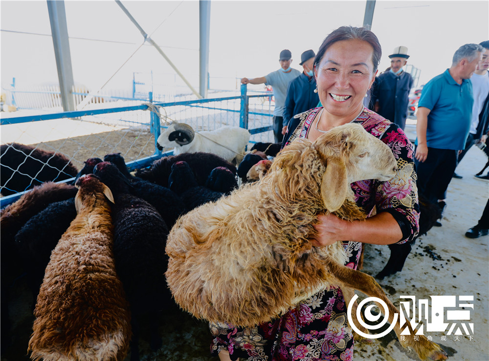 江苏援疆民生项目哈拉峻乡牛羊交易市场内十分热闹，古丽巴依日一大早赶来的27只羊全部售完，收获两万多元。