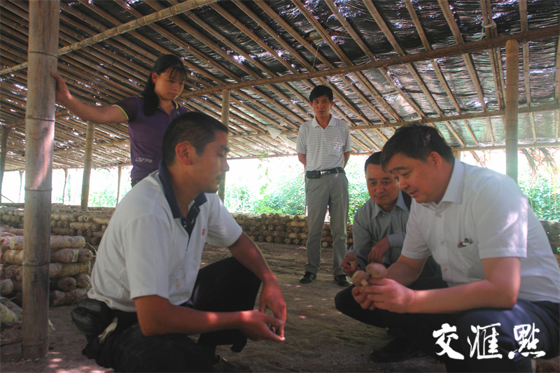 圖片關(guān)鍵詞