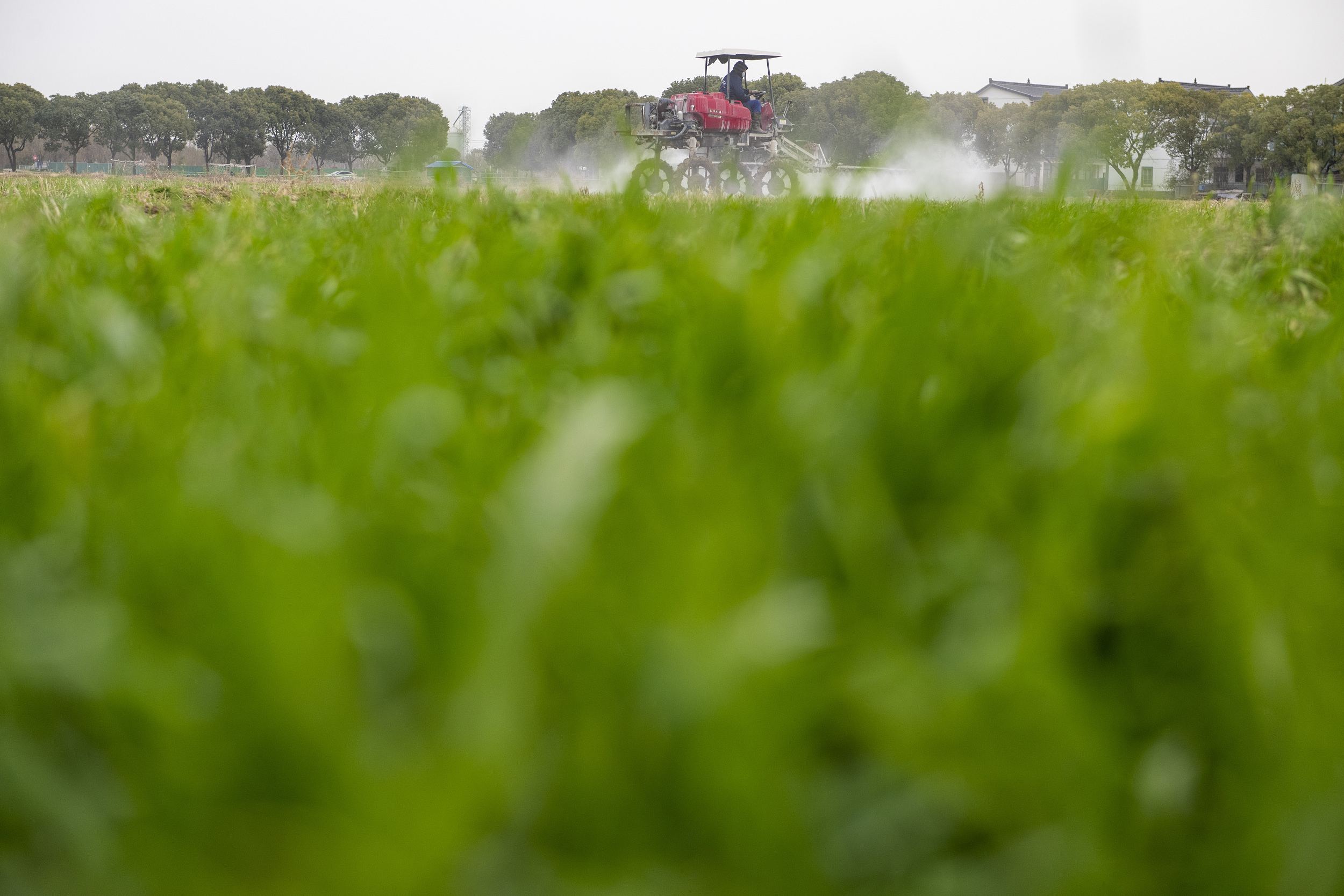 视觉中国供图。