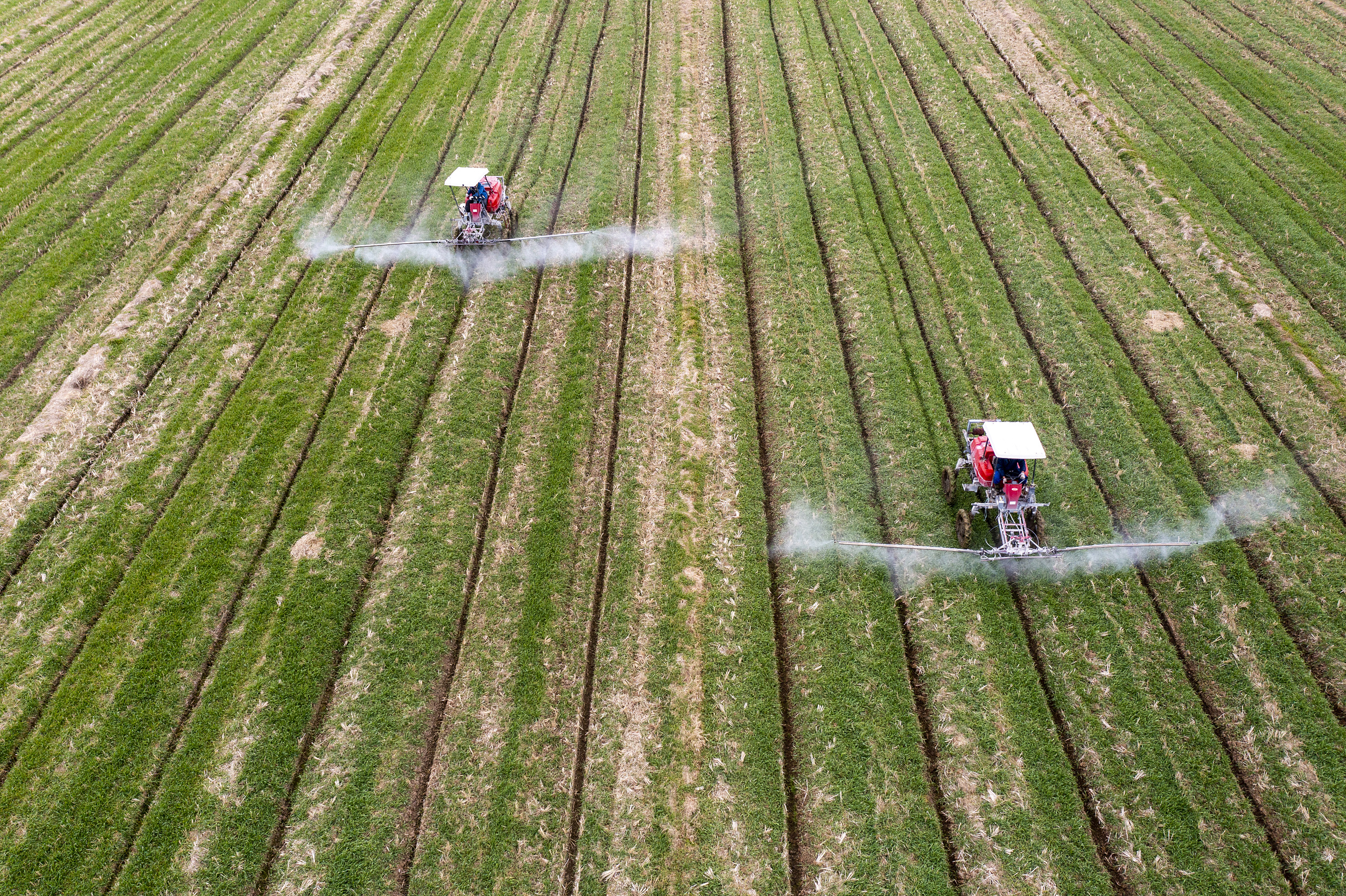 视觉中国供图。