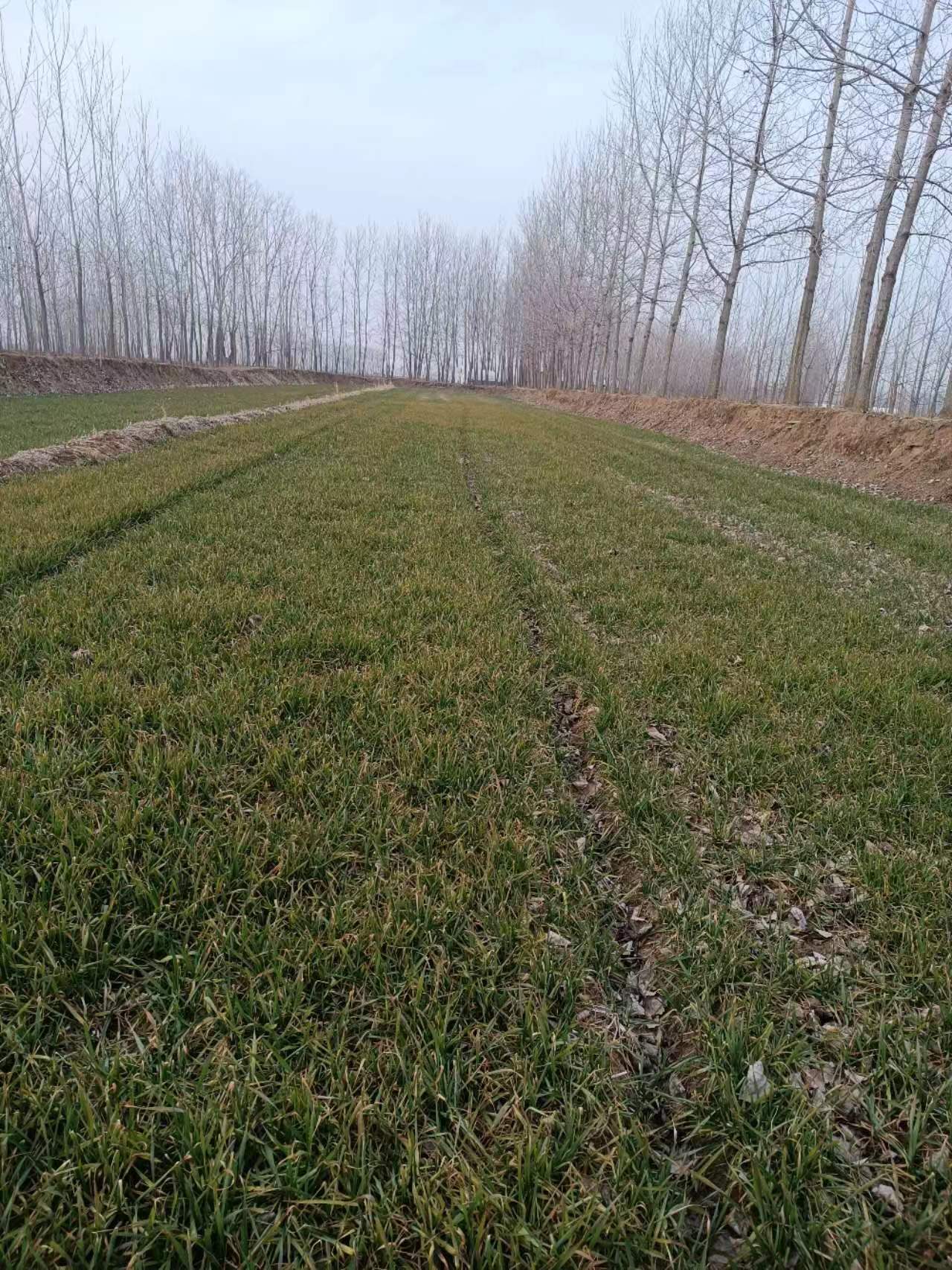 颜士胜 摄 颜士胜 摄