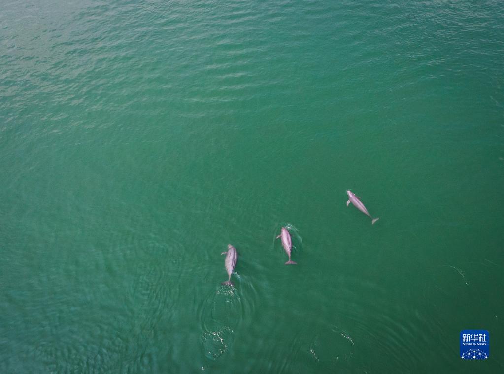 �ں���ʡ�˲��У�����������ˮ����Ϸ��2021��5��11���㣬���˻���Ƭ�����»������ Ф�վ� ��