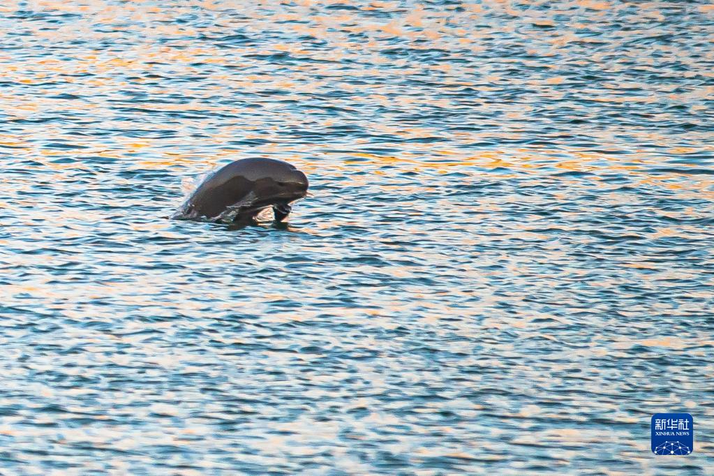 �ں���ʡ�˲��У�����������ˮ����Ϸ��2022��10��11���㣩���»������ Ф�վ� ��