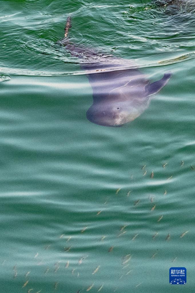 2��19�գ��ں���ʡ�˲��н��ߣ�����������ˮ�в��㡣�»������ Ф�վ� ��