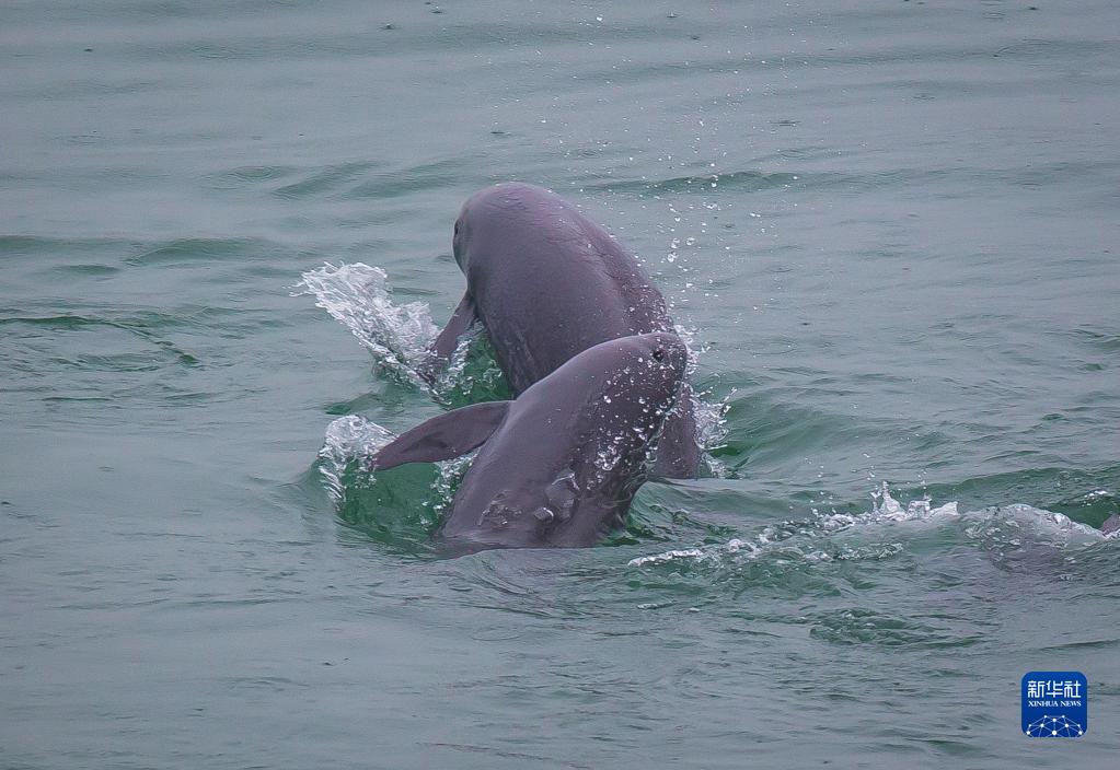 �ں���ʡ�˲��н��ߣ�����������ˮ����Ϸ��2021��5��10���㣩���»������ Ф�վ� ��